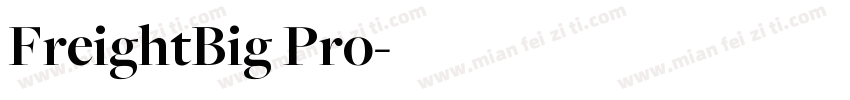 FreightBig Pro字体转换